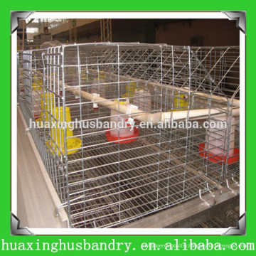 high quality and new design day old chick cage